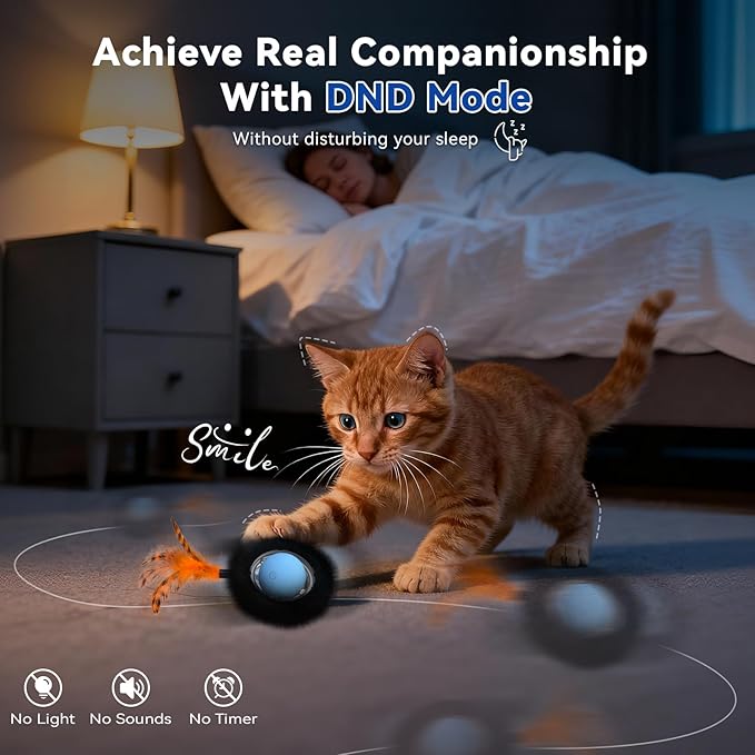 Interactive Cat Toy for Indoor Cats, Motion Activated Ball &7-Hole Maze Mat - Image 6
