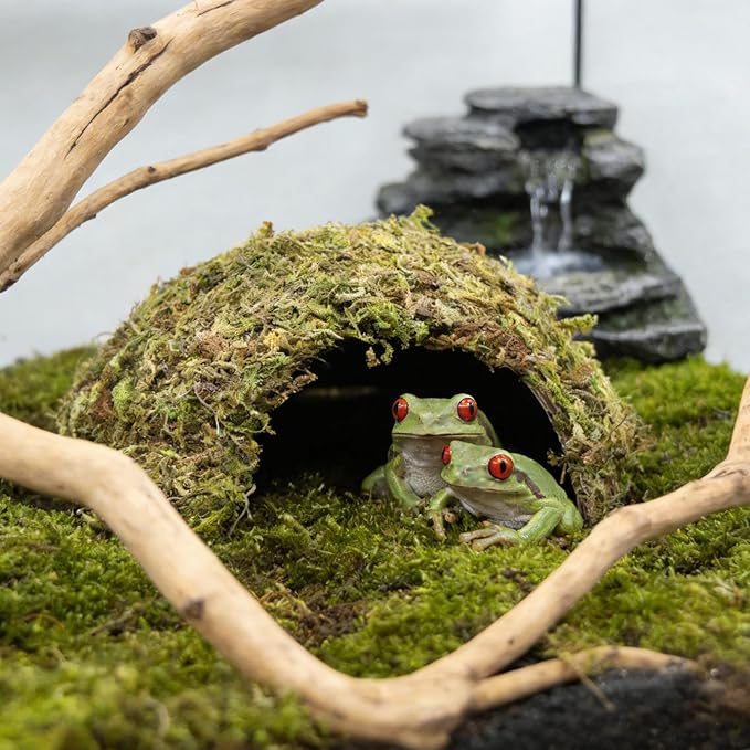 Natural Moss Frogs Hideout - Green Mossy Cave for Reptile, Geckos, and Hermit Crabs - Humid Habitat Decor for Amphibians and Small Reptiles - Eco-Friendly Terrarium Shelter