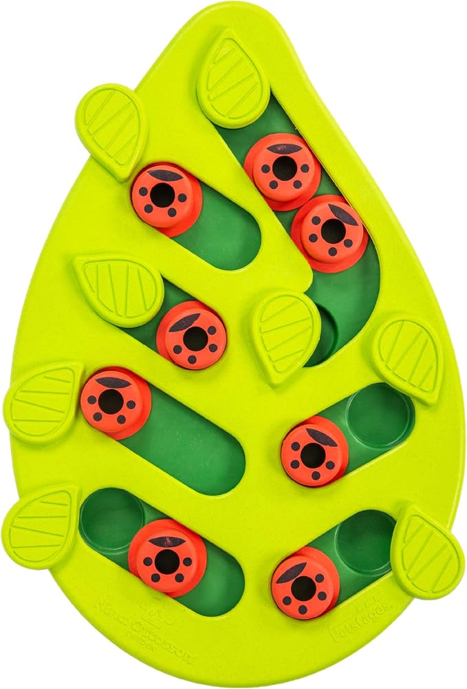 Catstages Nina Ottosson Buggin?€? Out Puzzle & Play Cat Toy Treat Puzzle, 14" by Catstages