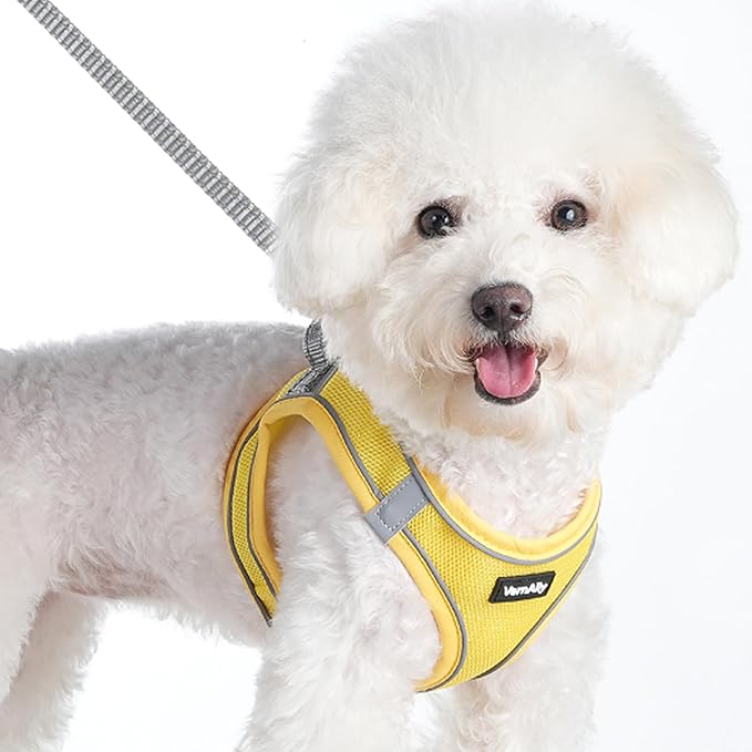 Sparkly Dog Harness Small Sized and Leash Set for Small Dogs Cats,Yellow S Puppy Harness, Step in Soft Dog Reflective Vest, Breathable Mesh Pet Harness. (Yellow, M)