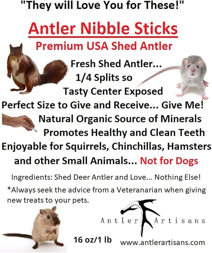 Antler Nibble Sticks, Squirrels and Small Animal Chews Treats, Teeth Health, Deer and Elk Antler Chews for Chipmunks, Hedgehogs, Guinea Pigs, Rats, All-Natural Nutrition