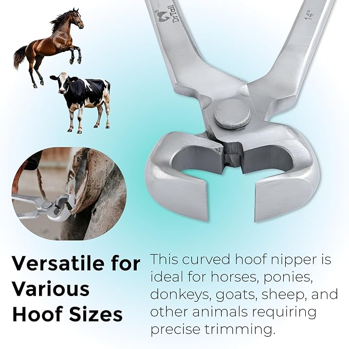 14" Hoof Nipper, Carbon Steel & Chrome Vanadium Farrier Tool for Horses – Durable, Sharp & Rust-Resistant