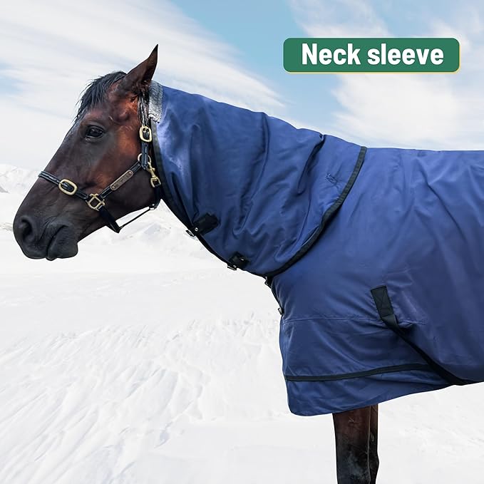 Horse Turnout Blanket | Medium Weight Horse Blanket with 1200D 250g Cotton Filling | Detachable Neck Cover & Belly Wrap (72in/135cm)