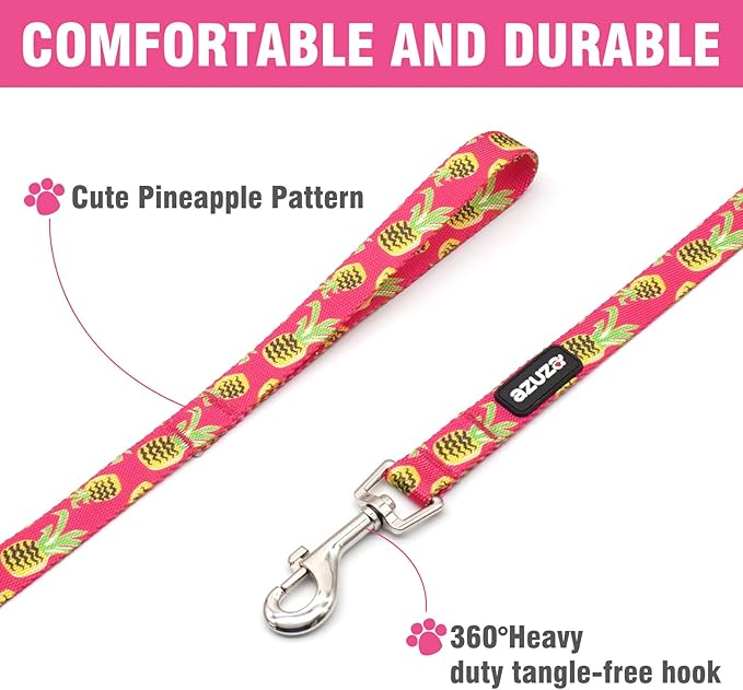 azuza Dog Collar and Leash Set, Pineapple Patterns on Nylon Collar and Matching Leash, Great Option for Medium Dogs