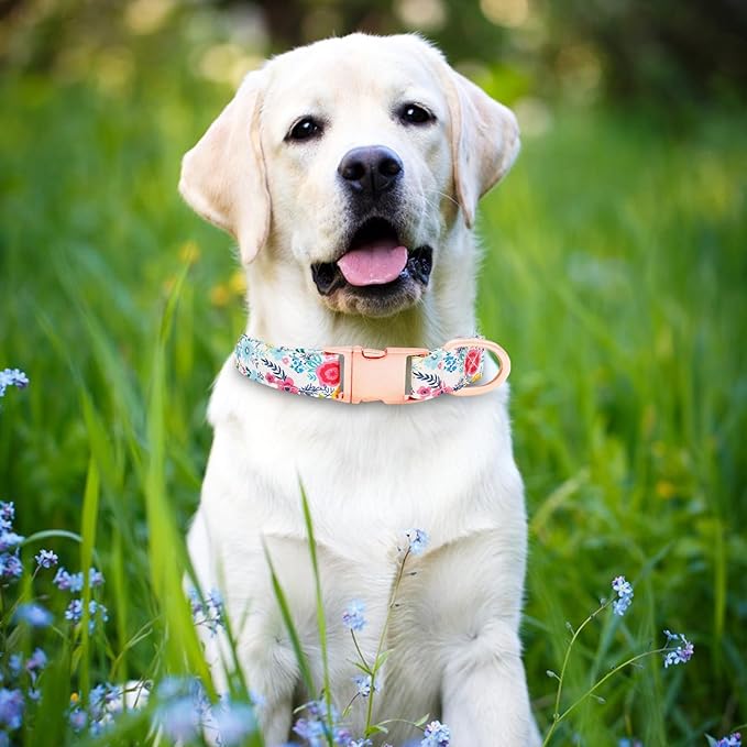 Dog Collar and Leash Set Girls Adjustable Puppy Collars with Floral Bow Tie for Small Medium Large Female Dogs, Teal Flower, L