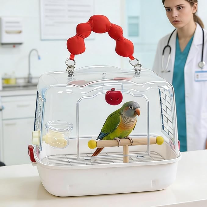 Genérico Bird Carrier: Transparent Avian Transport Backpack, Breathable Visualization Transport, Lightweight Mobility Equipment | Small Bird Tours Walks Travel