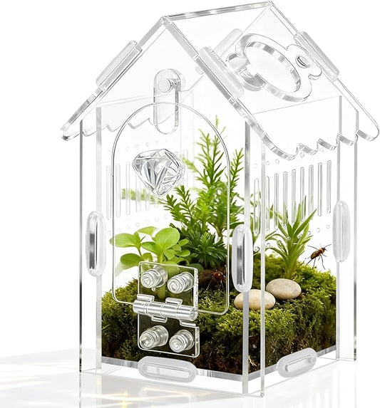 Jumping Spider Enclosure Acrylic Spider Cage Insect Terrarium Bug Enclosure Tarantula Enclosure Reptile Terrarium for Snail, Mantis, Lizard, and Small Reptiles - Small House Shape