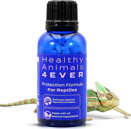 HealthyAnimals4Ever HA4E - Reptile Protection Formula - Defends Against Internal & External Health Threats - Supports Digestive Health & Vitality - Safe, Gentle Care - 300 Tablets