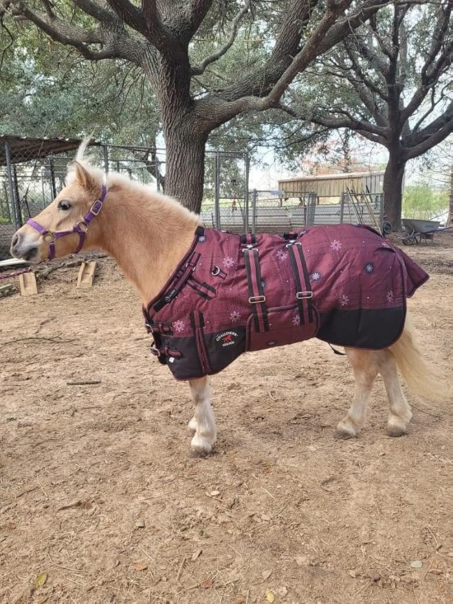 54" 1200D Miniature Weanling Donkey Pony Horse Foal Winter Blanket 51979B