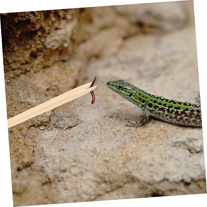 BESPORTBLE Reptile Feeding Tweezers Lightweight Bamboo Feeding Tool for Lizards Tortoises and Frogs Safe Non-deformable Design for Easy Use and Long-Term Care
