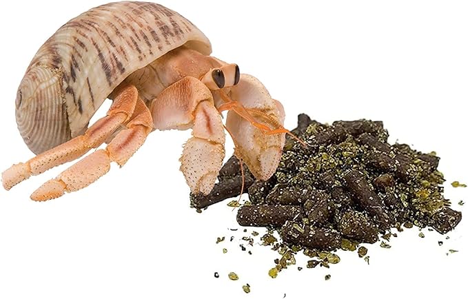 Needzo Hermit Crab Food, Natural Supplies and Habitat Necessities for Pet Crabs, 2 Pack, 4 Ounces (2 Pack Food)