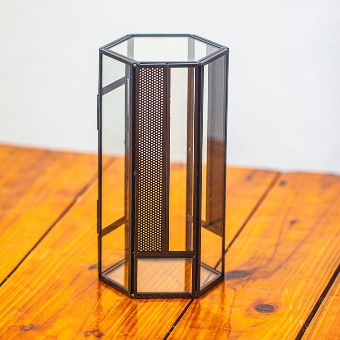 NCYP Glass Enclosure Terrarium with Mesh and Door for Small Spiders - Hexagon Shape, Small Mantis Vented Glass Terrarium 4.1'' x 3.6'' x 7.8'', Tabletop Decor, Black (Plants Not Include)