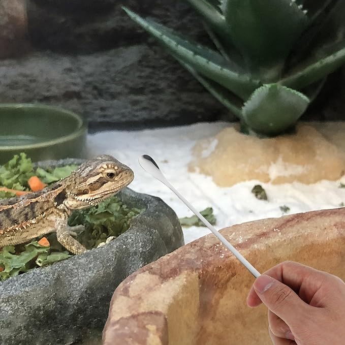 5pcs Reptile Food Spoon for Lizards Small Pet Feeding Tool Long Handle
