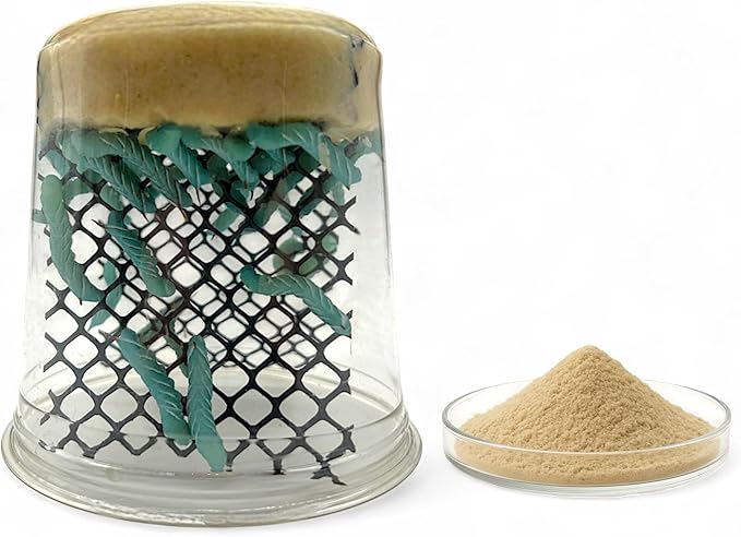 Oregon Silkworms Premium Hornworm Habitat - 26-35+ Count per Cup | Nutrient-Rich Feed for Bearded Dragons, Geckos & Other Reptiles | Free 1oz Powdered Chow Included