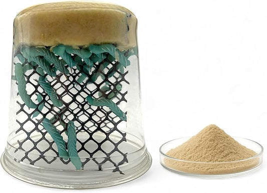 Oregon Silkworms Premium Hornworm Habitat - 26-35+ Count per Cup | Nutrient-Rich Feed for Bearded Dragons, Geckos & Other Reptiles | Free 1oz Powdered Chow Included