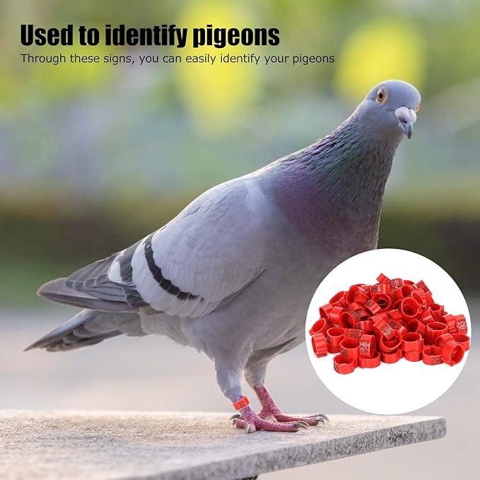 Tiiyee Pigeons Leg Ring, 100Pcs Plastic Bird Identify Clip Ring Poultry Markers Foot Ankle Training Identification Bands for Ducks Chicks Chicken Guinea Pigeons Goose Bantam Finch Lovebird Quail(12mm)
