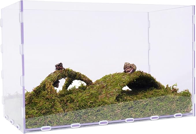 10 Gallon Hermit Crab Tank Kit, Include 20.47 inch x 10.83 inch x 12.4 inch Tank，3.5oz Moss, 2xToys, Creating the Perfect Habitat for Your Cute