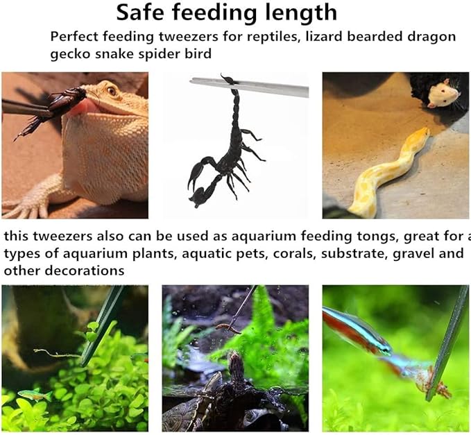 10.6 inch Reptile Feeding Tongs, 3 Pcs Tweezers Cricket Clamp Bug Scooper, Stainless Steel Straight and Curved Tweezers Set for Insects Lizard Turtle Snake Spider Frog Gecko Chameleon