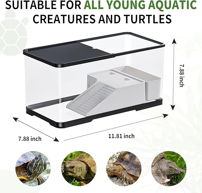 (Tank + Light + Filter Balls) Turtle Tank Kit, Turtle Tank Starter Kit,Bottom Drainage, Multi-Function Areas for Turtles, Crabs,Fishes, Amphibians,Reptiles (11.81 × 7.88 × 7.88 Inch)