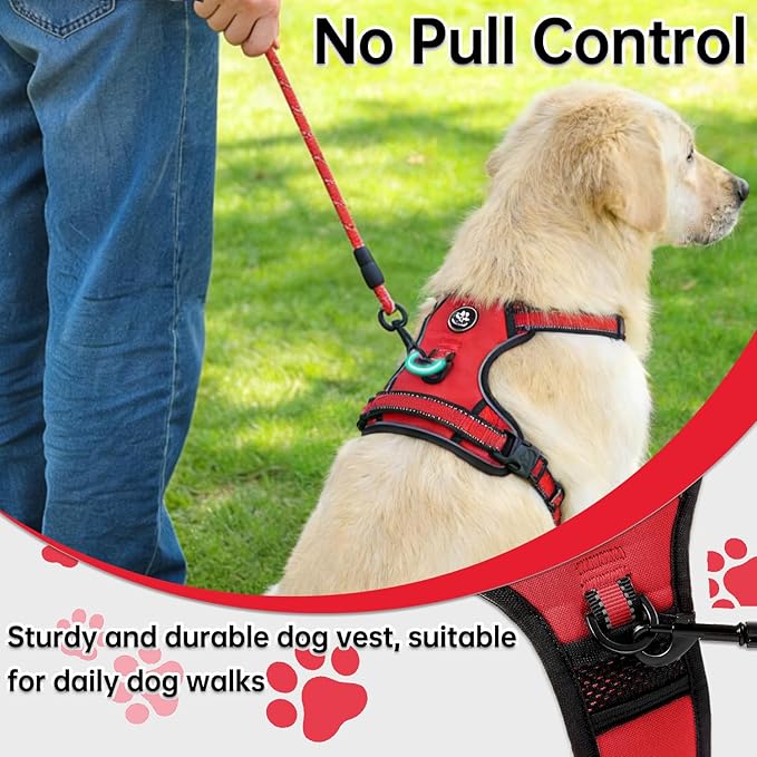 NESTROAD No Pull Dog Harness,Adjustable Oxford Dog Vest Harness with Leash,Reflective No-Choke Pet Harness with Easy Control Soft Handle for Small Dogs(Small,Red)