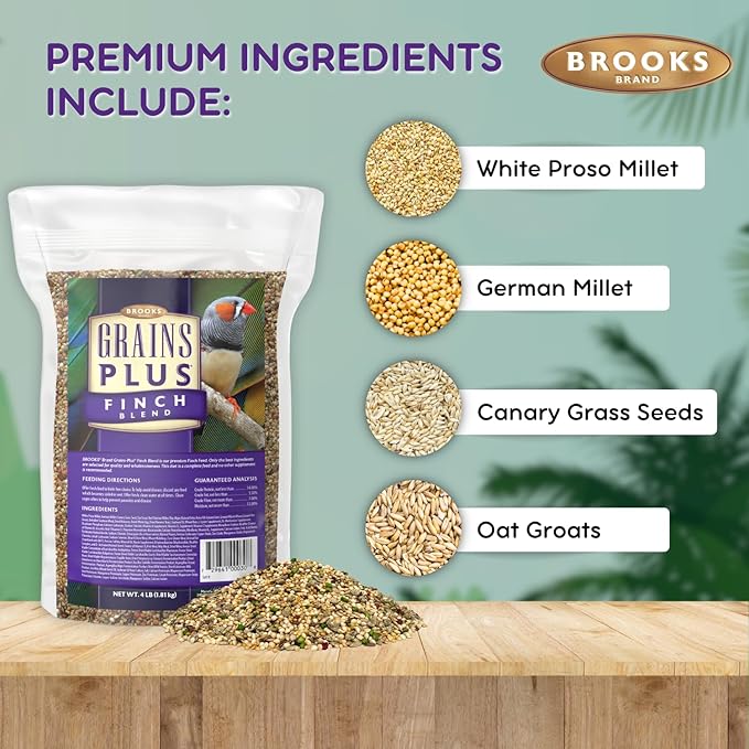 Grains Plus Finch Blend Bird Food, Nyjer Seeds, Finches Bird Seed Mix, Gold Finch Niger Seeds for Birds, Finches Food for Indoor Birds (4 lbs)