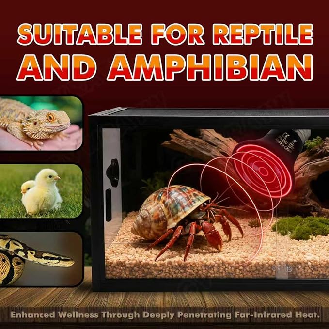 50W Non-Light Ceramic Heat Emitter (2-Pack 0.2inch-60mm) Reptile Heat Lamp for Terrariums, Brooders & Incubators. E26 for Turtle Lizard Bearded Dragon Snake Small Pets
