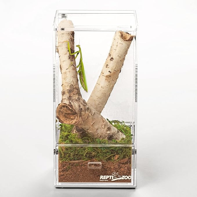REPTI ZOO Acrylic Reptile Terrarium, Full View Acrylic Jumping Spider Enclosure 4" x 4" x 8", Vertical Feeding Box for Small Reptiles and Invertebrates, Mantis, Spider, Cricket, Tarantula