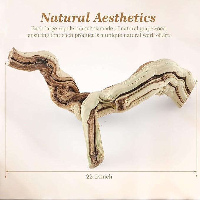 Janinka 22-24" Length Large Wood Reptile Branch for Bearded Dragon Driftwood Reptile Climbing Habitat Decoration for Terrarium Tree Trunk Ornament Gecko Frog Chameleon Spider