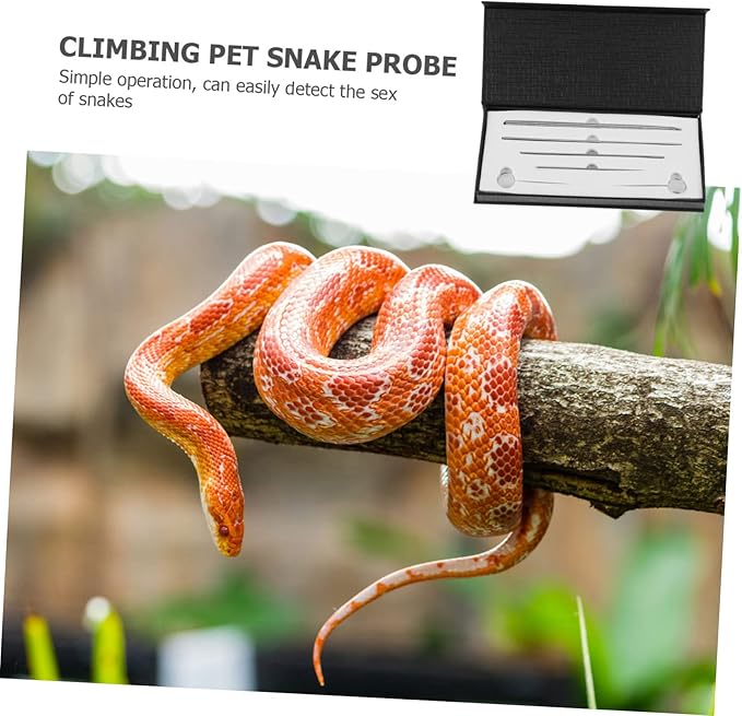 BESPORTBLE 6pcs Snake Gender Probe Reptile Supplies Snake Sexing Kit Probe Tip for Ball