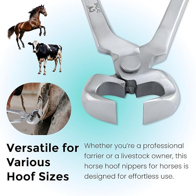 15" Hoof Nipper, Carbon Steel & Chrome Vanadium Farrier Tool for Horses – Durable, Sharp & Rust-Resistant