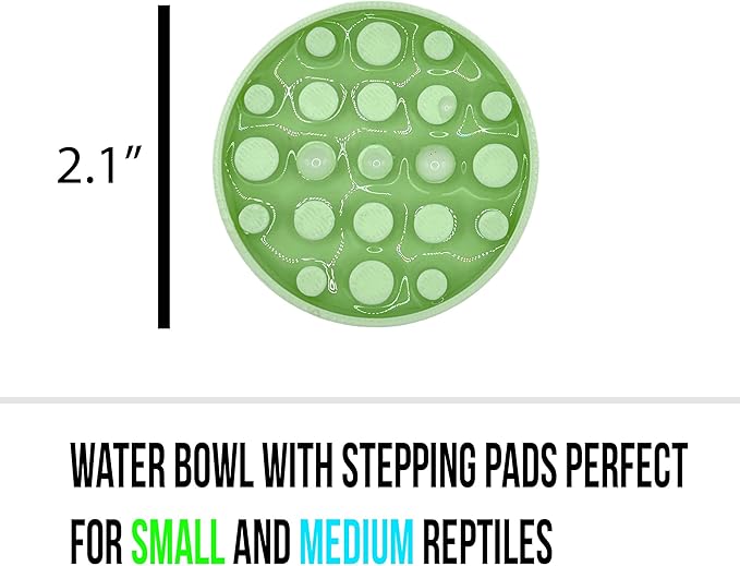 Leopard Gecko Water Bowl - Walkable Water Bowl - Tarantula Water Bowl (Mint Green)