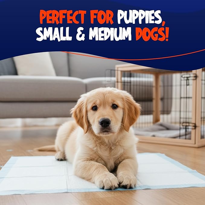 BPG Ultra Absorbent Pet & Puppy Pads – 100 Count 22"x22" Pee Pads for Dogs, Disposable Leak Proof Dog Training Pads, Quick Drying Underpads, Puppy Essentials for House Training - Brooklyn Pet Gear