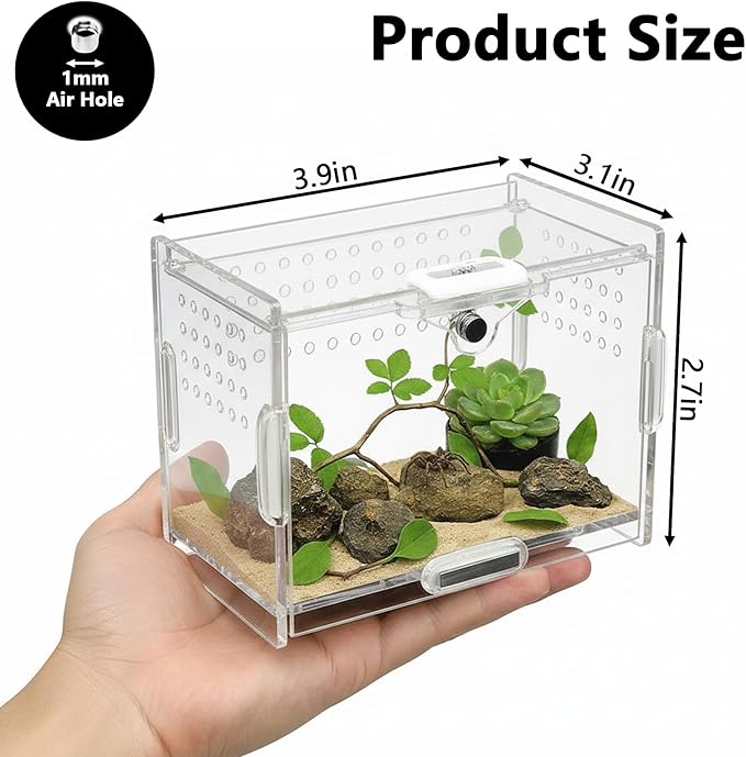 Acrylic Jumping Spider Enclosure - Multi-Purpose Reptile & Insect Habitat Cage with Ventilation for Jumping Spiders,Arboreal Tarantula, Scorpion, Lizard, Snake, Gecko, Snail & Isopod(3.9x3.1x2.7'')