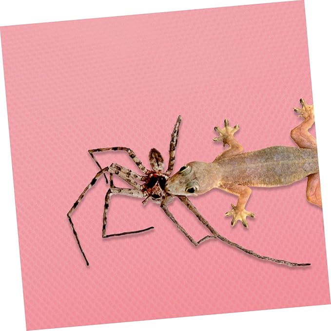GALPADA Reptile Carpet Substrate for Terrarium Nonslip Reptile Bedding for Leopard Gecko Lizard Snake and Tortoise Sturdy and Easy to Clean Accessories