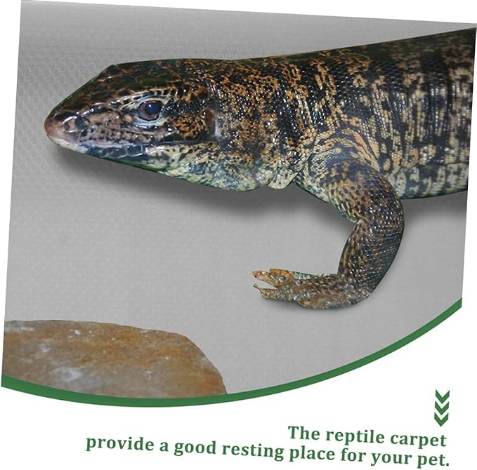 GANAZONO Reptile Carpet Mat for Terrarium Bedding Durable Eva Substrate Easy Clean and Comfortable for Bearded Dragons Geckos Snakes and Turtles Gray