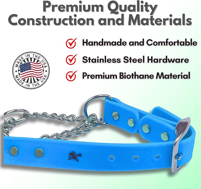 Martingale Collar for Dogs, Biothane, Stainless Steel Hardware, No Pull, Made in The USA, Professional Grade, XXS, Light Blue