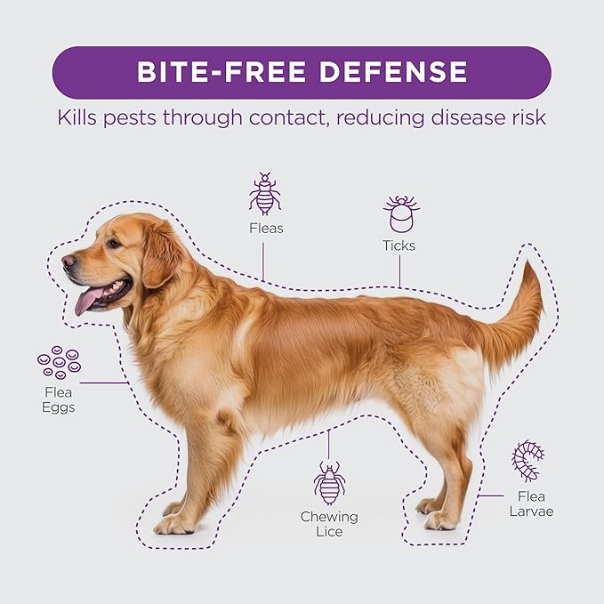 FirstAct Plus Flea Treatment for Dogs, Large Dogs 45-88 lbs, 6 Doses, Same Active Ingredients as Frontline Plus Flea and Tick Prevention for Dogs