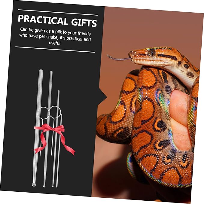 BESPORTBLE 6pcs Snake Gender Probe Reptile Supplies Snake Sexing Kit Probe Tip for Ball