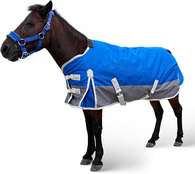 Winter Horse Blanket for Pony, Foal, Donkey, Mini Horses| Turnout Blanket for Winter | Waterproof | 1200 Denier | Blue Grey | 50 Inch