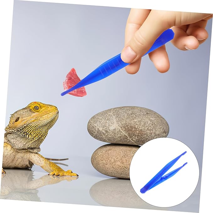 Yardwe 6pcs Reptile Special Tweezers Scorpion Lizard Feeding Tool Plastic Tweezers Fine Grip for Animal Feeding