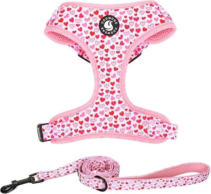 Dog Harness and Leash Set, Adjustable Dog Harness, Dog Leash, No Pull No Choke Puppy Harnesses for Walking Training for Small, Medium Pet (Little Love, L(Chest 19.6-28", Neck 15.7-21.1"))