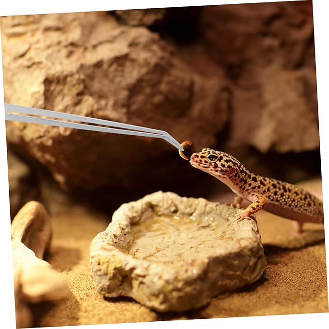 2pcs Extra Reptile Feeding Tongs Straight Curved Tips for Precise Handling of Turtles Bearded Dragons Other Crawling Pets Ergonomic Design for Easy Use Aquariums Terrariums