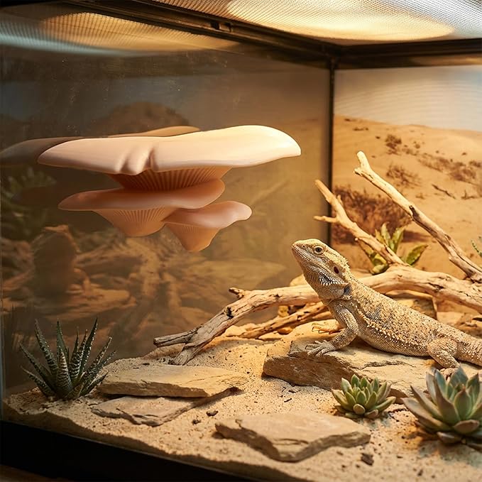 Mushroom Decor Climbing Hold Kit Realistic Terrarium Plants Concealed Jumping Spider Habitat Enclosure Decorate Accessories for Leopard Geckos Crested Geckos Tree Frogs Small Lizards