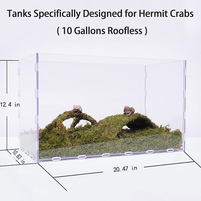 10 Gallon Hermit Crab Tank Kit, Include 20.47 inch x 10.83 inch x 12.4 inch Tank，3.5oz Moss, 2xToys, Creating the Perfect Habitat for Your Cute