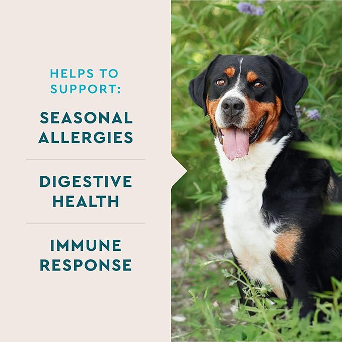VetIQ Allergy Pro+ Soft Chews for Dogs, 60 Count, Seasonal Allergy Support, Colostrum, Astragalus Root, Sporevia, Hickory Smoke Flavor (Pack of 2)