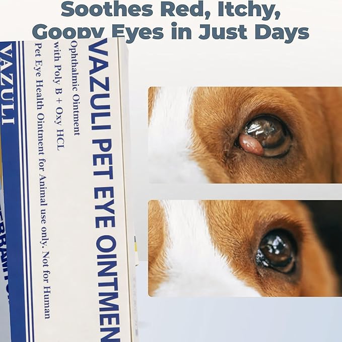 VAZULI Pet Eye Cream for Dogs, Cats, Cattle, Sheep, Horses, Birds and Puppies, Kittens - 1 Pack