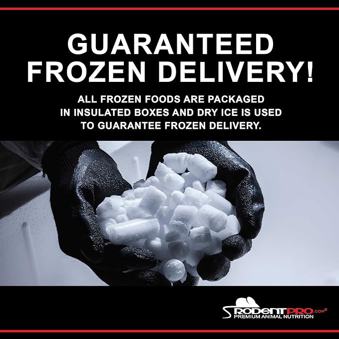 RodentPro Frozen Reptile Feeder Large Rats (5 Count)