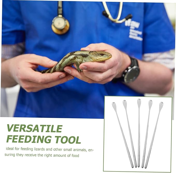 Abaodam 5pcs Lightweight Reptile Food Spoons for Lizard Feeding Portable Feeding Tools for Small Animals for Reptile Tanks and PET Care
