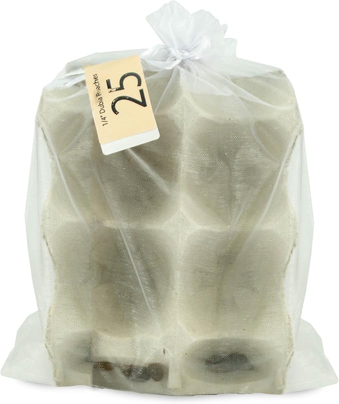 Josh's Frogs 1/4" - 3/8" Small Dubia Roaches (25 Count)