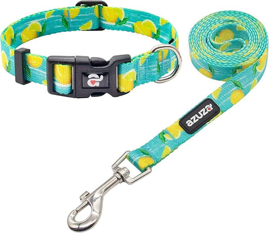 azuza Dog Collar and Leash Set, Lemon Patterns on Blue Nylon Collar and Matching Leash, Great Option for Extra Small Dogs